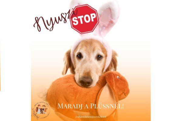 Nyuszistopp