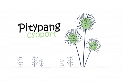 Pitypang csoport
